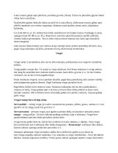 Romėnų teisė. Asmenys 7 puslapis