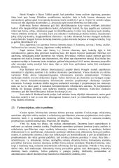 Automatizuotas duomenų bazės schemos sukūrimas formų analizės pagrindu 12 puslapis