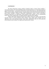 Automatizuotas duomenų bazės schemos sukūrimas formų analizės pagrindu 2 puslapis