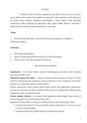 Organizacijos aplinka. Etika ir socialinė atsakomybė 2 puslapis