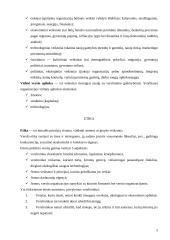 Organizacijos aplinka. Etika ir socialinė atsakomybė 3 puslapis