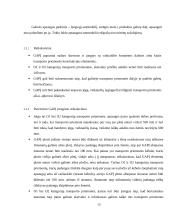 Priekabos motociklui vežti projektavimas 12 puslapis