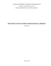 Organizacijos kultūros formavimas įmonėje: transporto ir logistikos paslaugų teikimas