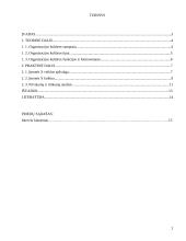 Organizacijos kultūros formavimas įmonėje: transporto ir logistikos paslaugų teikimas 2 puslapis