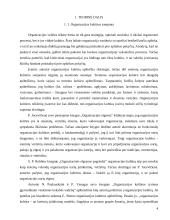Organizacijos kultūros formavimas įmonėje: transporto ir logistikos paslaugų teikimas 4 puslapis