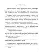 Organizacijos kultūros formavimas įmonėje: transporto ir logistikos paslaugų teikimas 7 puslapis