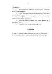 Organizacijos valdymo analizė: UAB "Saulė" 11 puslapis