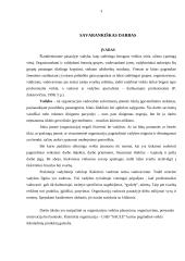 Organizacijos valdymo analizė: UAB "Saulė" 3 puslapis
