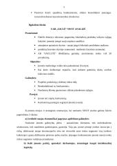 Organizacijos valdymo analizė: UAB "Saulė" 5 puslapis