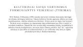 Asmenų savęs vertinimus formuojantys veiksniai 12 puslapis
