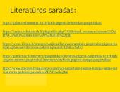 Paspirtukas „Pigeon“ 8 puslapis