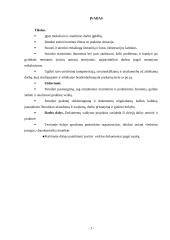 Organizacijos veiklos analizė: Vilniaus kolegija 3 puslapis