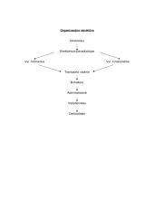 Organizacijos vidinės ir išorinės aplinkos įvertinimas: UAB "Iksija" 5 puslapis