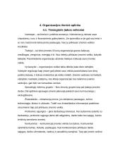 Organizacijos vidinės ir išorinės aplinkos įvertinimas: UAB "Iksija" 7 puslapis