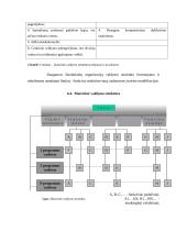 Organizacijų valdymo struktūra bei struktūrų tipai 11 puslapis