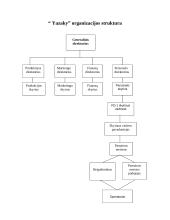Organizacijų valdymo struktūra bei struktūrų tipai 3 puslapis