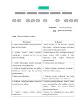 Organizacijų valdymo struktūra bei struktūrų tipai 9 puslapis