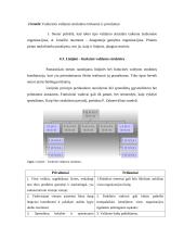Organizacijų valdymo struktūra bei struktūrų tipai 10 puslapis