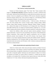 Organizacinės kultūros apklausos analizė: AB "Transcom" 14 puslapis