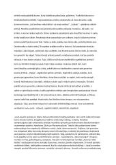 Amžinųjų vertybių šviesa literatūroje 2 puslapis