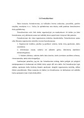 Organizavimo teorijos analizė 11 puslapis