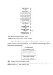 Organizavimo teorijos analizė 4 puslapis