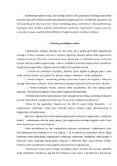 Organizavimo teorijos analizė 5 puslapis