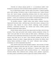 Organizavimo teorijos analizė 7 puslapis