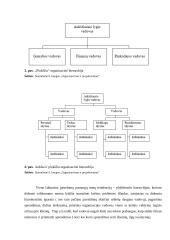 Organizavimo teorijos analizė 8 puslapis