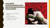 Rasinė diskriminacija Lietuvoje 7 puslapis