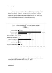Kietojo kuro degimo išskiriamų kietųjų dalelių filtravimas 3 puslapis