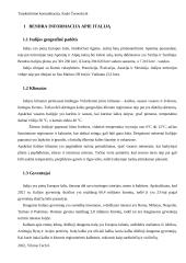 Tarpkultūrinė komunikacija (referatas) 3 puslapis