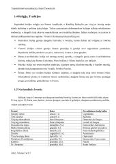 Tarpkultūrinė komunikacija (referatas) 4 puslapis