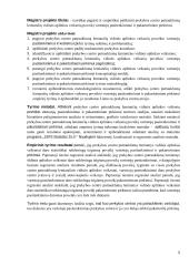 Prekybos centro patrauklumą lemiančių vidinės aplinkos veiksnių poveikis vartotojų pasitenkinimui ir pakartotiniam pirkimui  2 puslapis
