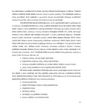 „Eurovaistinės“ komunikacija socialiniuose tinkluose  11 puslapis