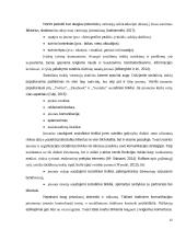 „Eurovaistinės“ komunikacija socialiniuose tinkluose  12 puslapis