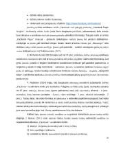 „Eurovaistinės“ komunikacija socialiniuose tinkluose  15 puslapis