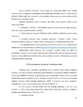 „Eurovaistinės“ komunikacija socialiniuose tinkluose  17 puslapis