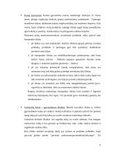 Pagrindiniai socialinio marketingo komponentai 8 puslapis