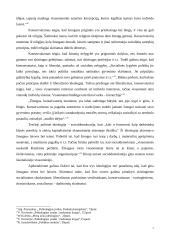 Pagrindinių politinių ideologijų panašumai ir skirtumai 7 puslapis