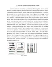 Technologinių įrenginių praktikos atliekamos Vilniaus technologijų ir dizaino kolegijos Technikos fakultete ataskaita 12 puslapis