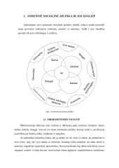 Asmeninė socialinė aplinka  3 puslapis