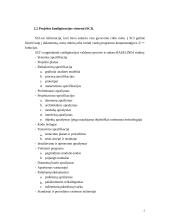 Pakeitimų valdymas 5 puslapis