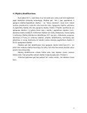 Pakeitimų valdymas 8 puslapis