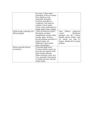 J. Apučio kūrybos apibendrinimas 11 puslapis