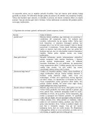 J. Apučio kūrybos apibendrinimas 3 puslapis