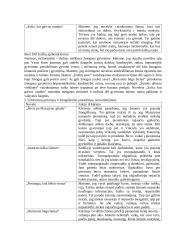 J. Apučio kūrybos apibendrinimas 4 puslapis