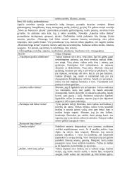 J. Apučio kūrybos apibendrinimas 5 puslapis