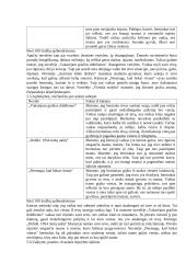 J. Apučio kūrybos apibendrinimas 6 puslapis