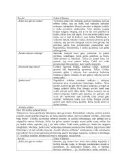 J. Apučio kūrybos apibendrinimas 7 puslapis